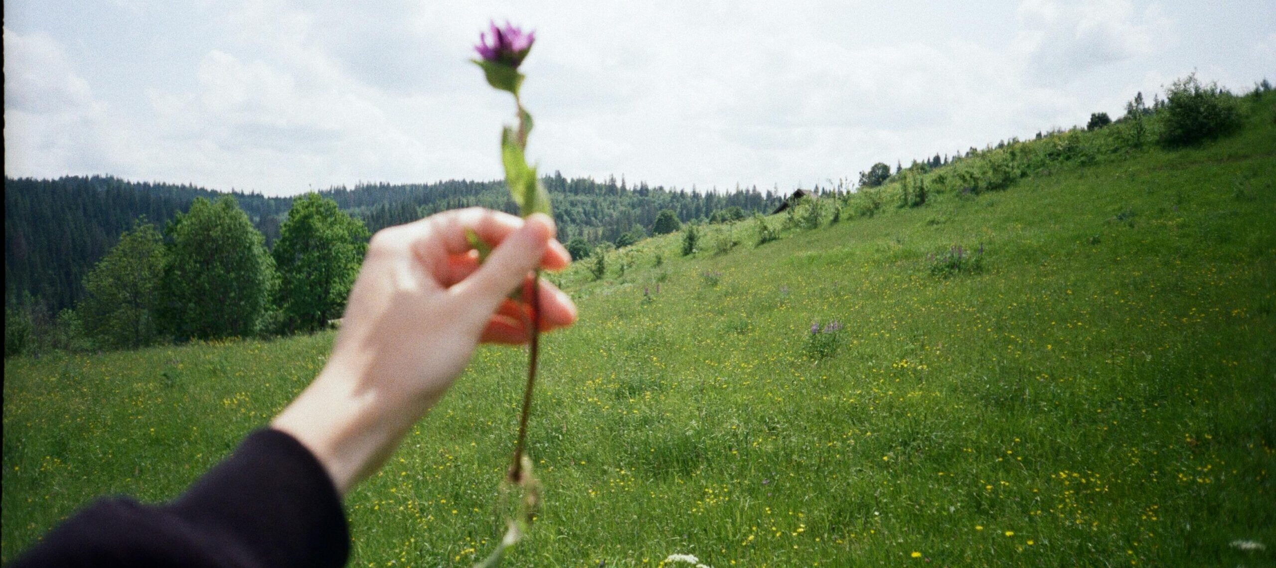 Free stock photo of 35mm, 35mmfilm, filmphotography